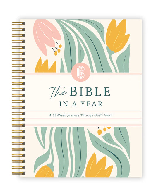 HeaHug™ Bible Study Book